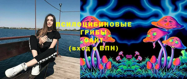 мет Козловка