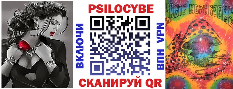 Купить где  Володарск  Галлюциногенные грибы Cubensis 