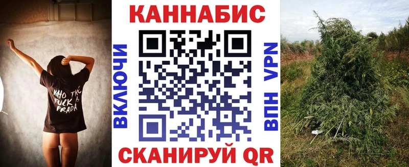 Купить закладки  Володарск  Бошки Шишки LSD WEED 